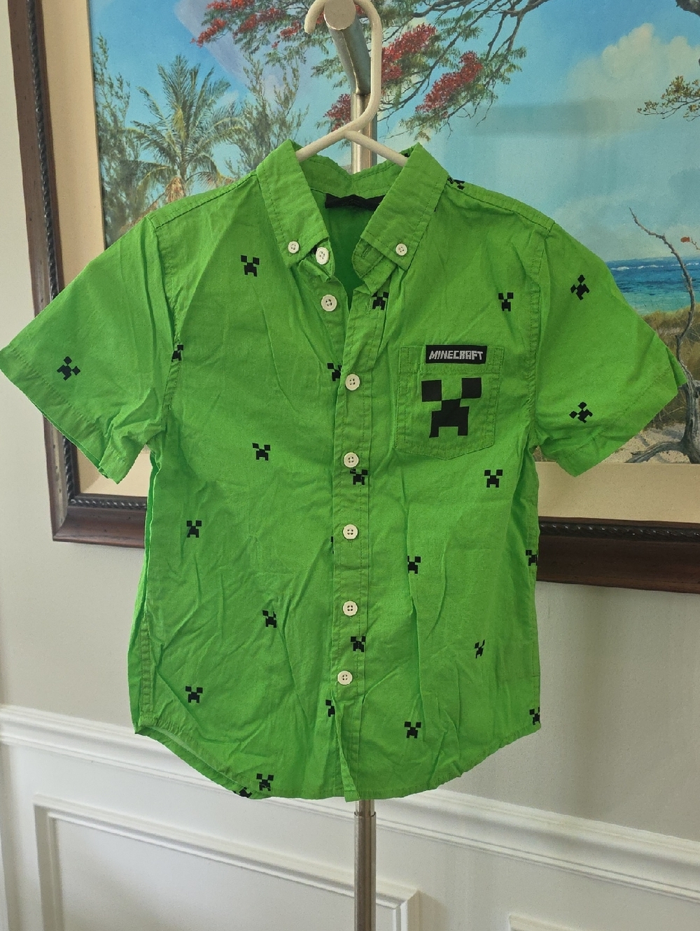 Minecraft Boys' Green Creeper Button-Down Shirt